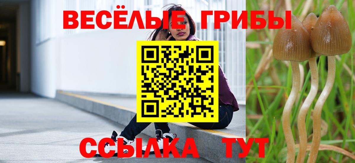 Галлюциногенные грибы мухоморы Острогожск