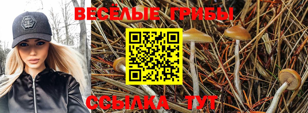 Псилоцибиновые грибы GOLDEN TEACHER  Галлюциногенные грибы ЛСД  Вход с VPN  Острогожск 